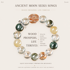 Wealth Attraction Prosperity Multi-Stone Crystal Bracelet Feng Shui Abundance Energy Jewelry